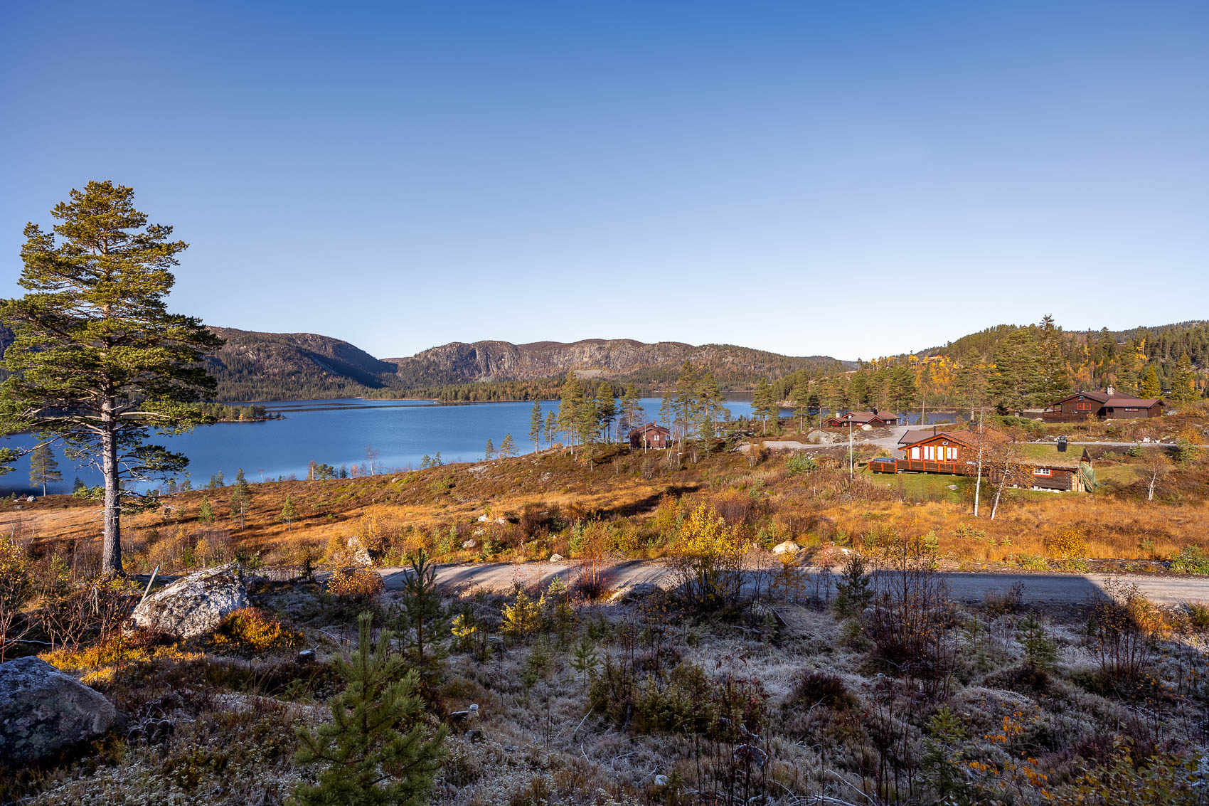 Hyttetomter i Birtedalen i Fyresdal kommune på Høsten