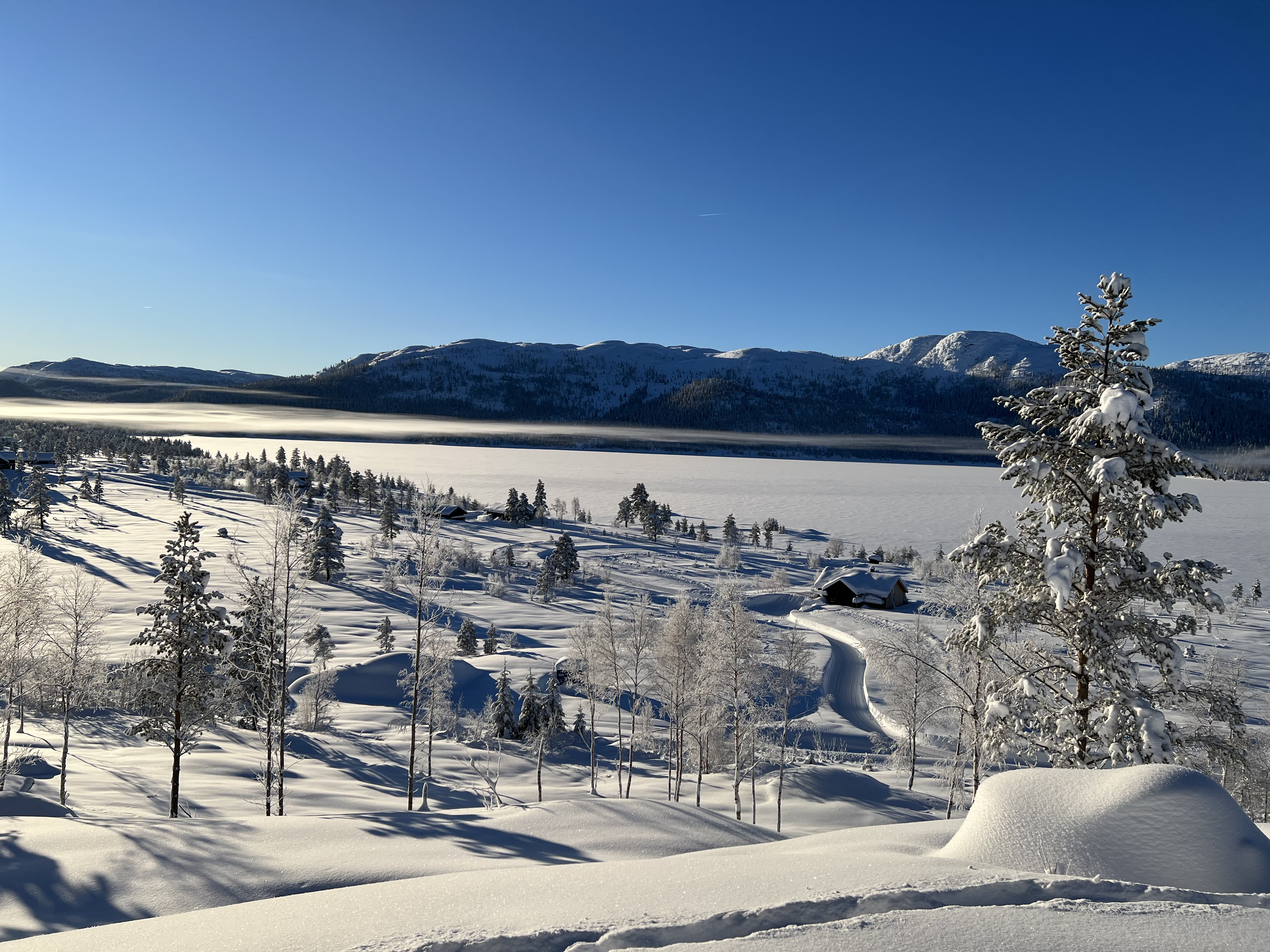 Hyttetomter i Birtedalen i Fyresdal kommune på vinter