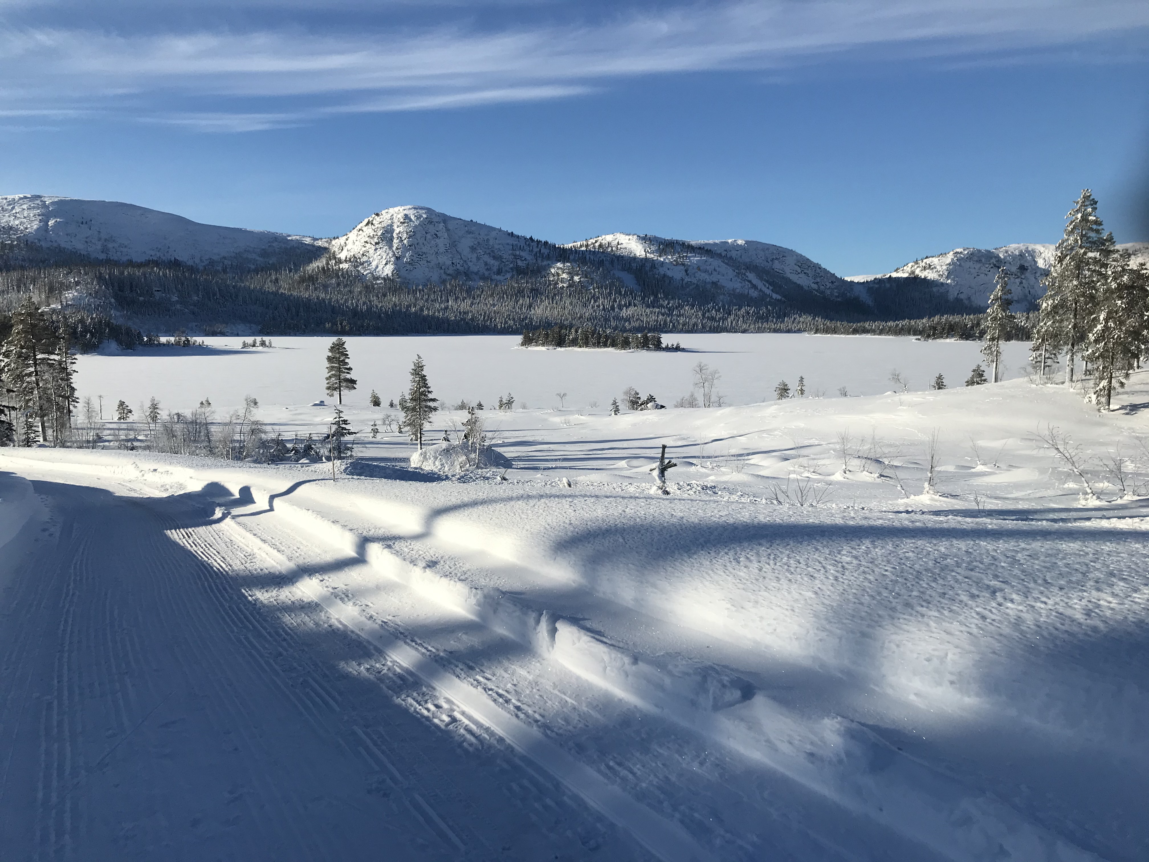 Hyttetomter i Birtedalen i Fyresdal kommune på vinter