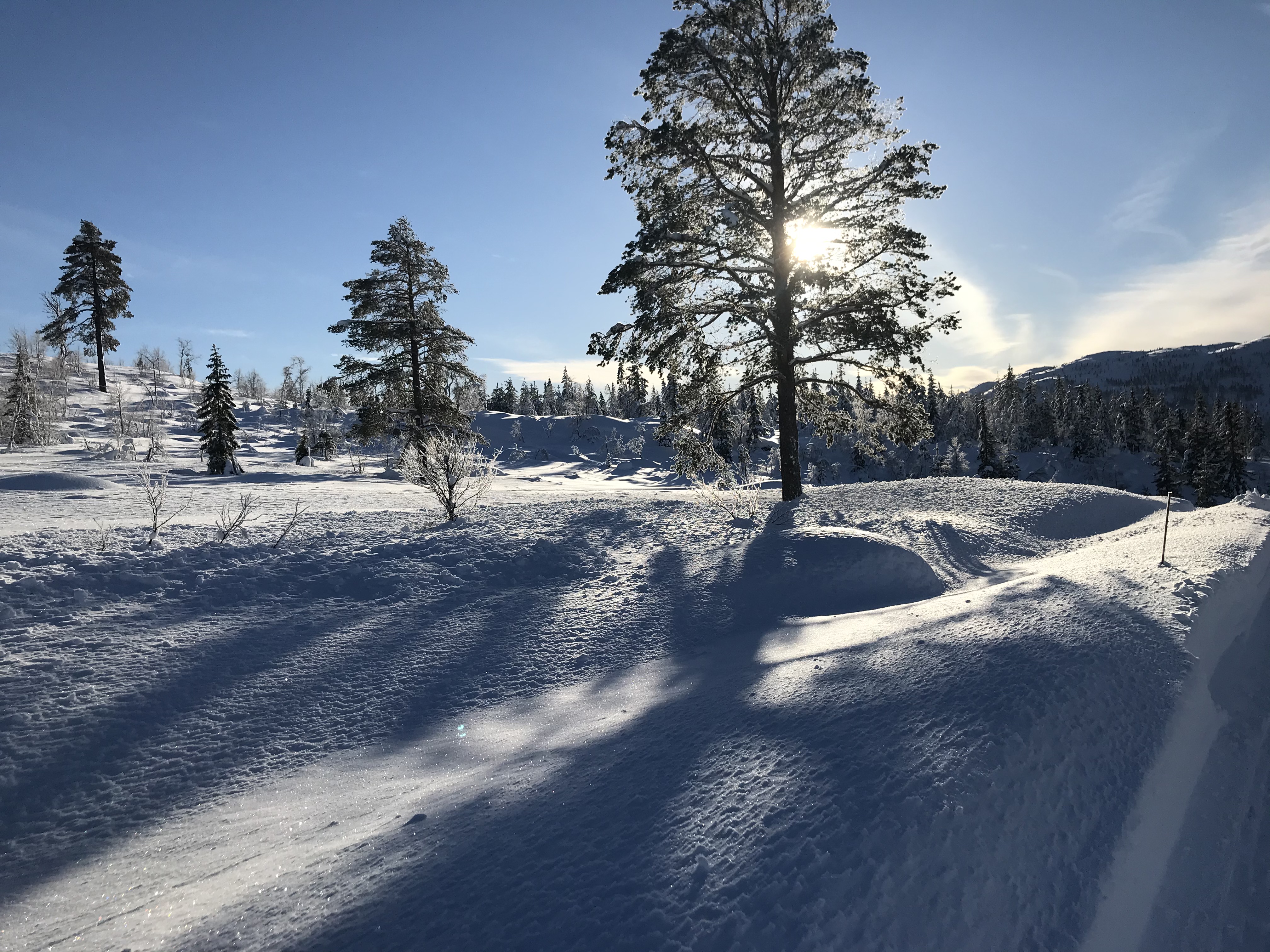 Hyttetomter i Birtedalen i Fyresdal kommune på vinter