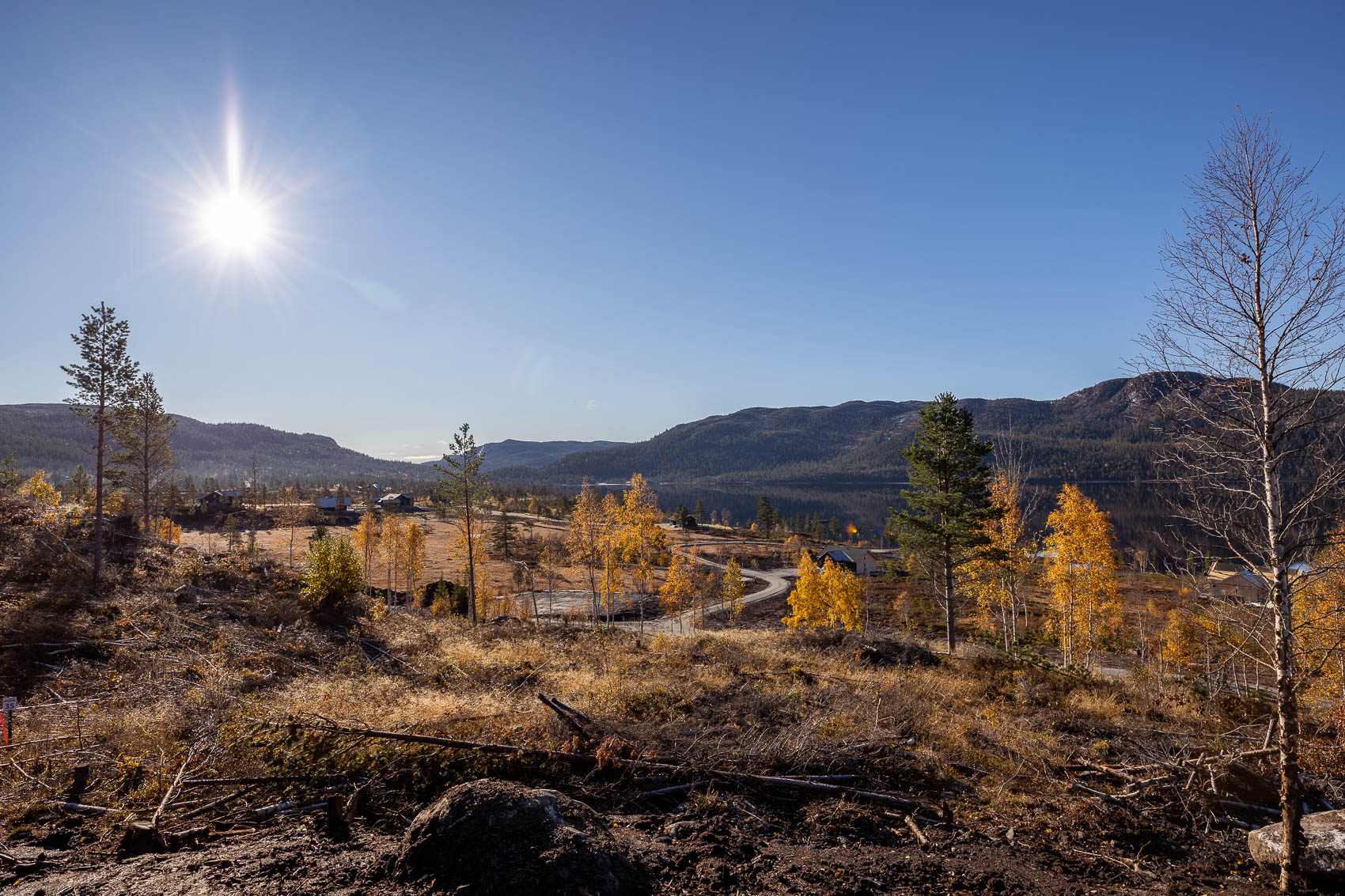 Hyttetomter i Birtedalen i Fyresdal kommune på Høsten