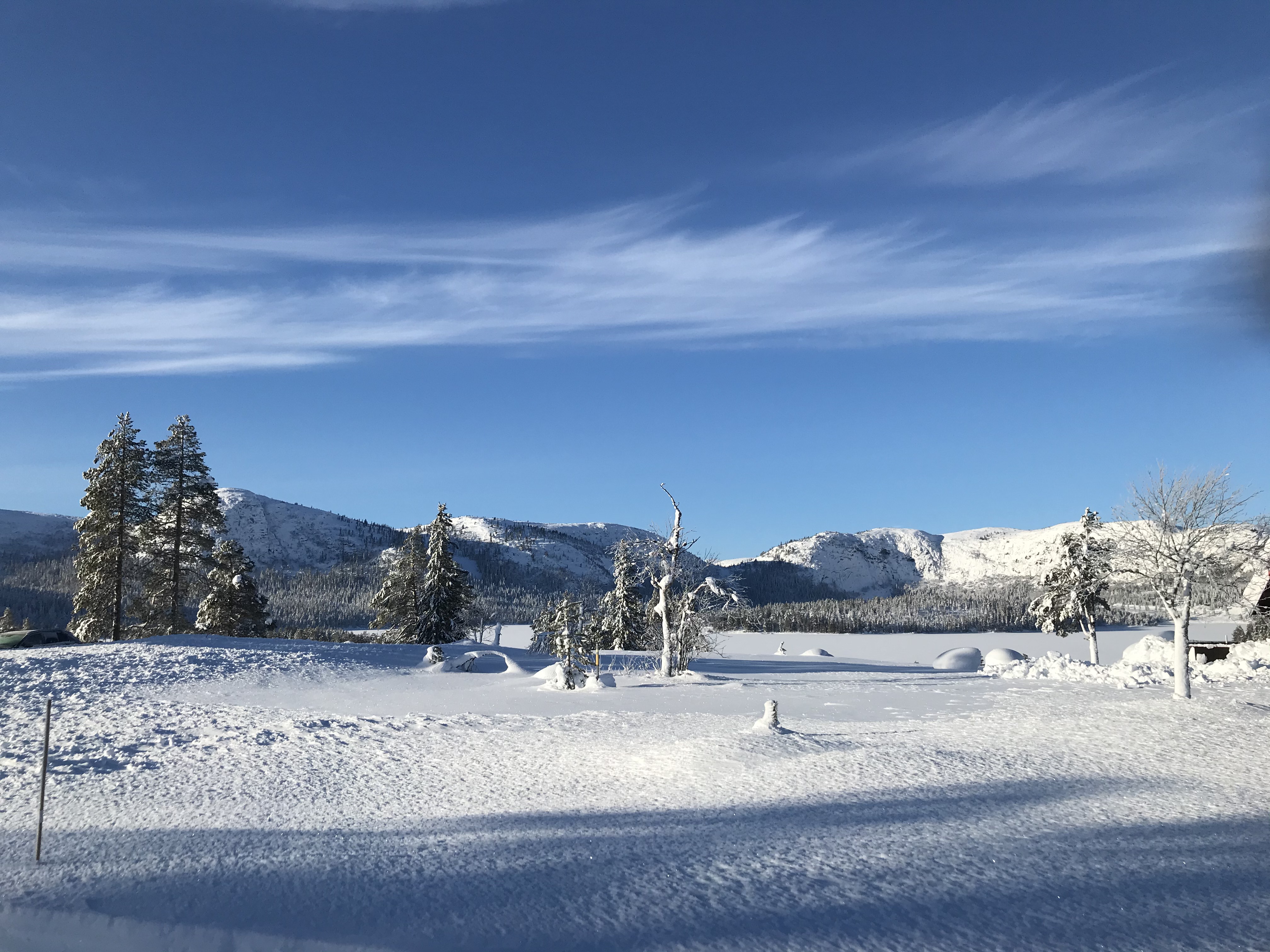 Hyttetomter i Birtedalen i Fyresdal kommune på vinter