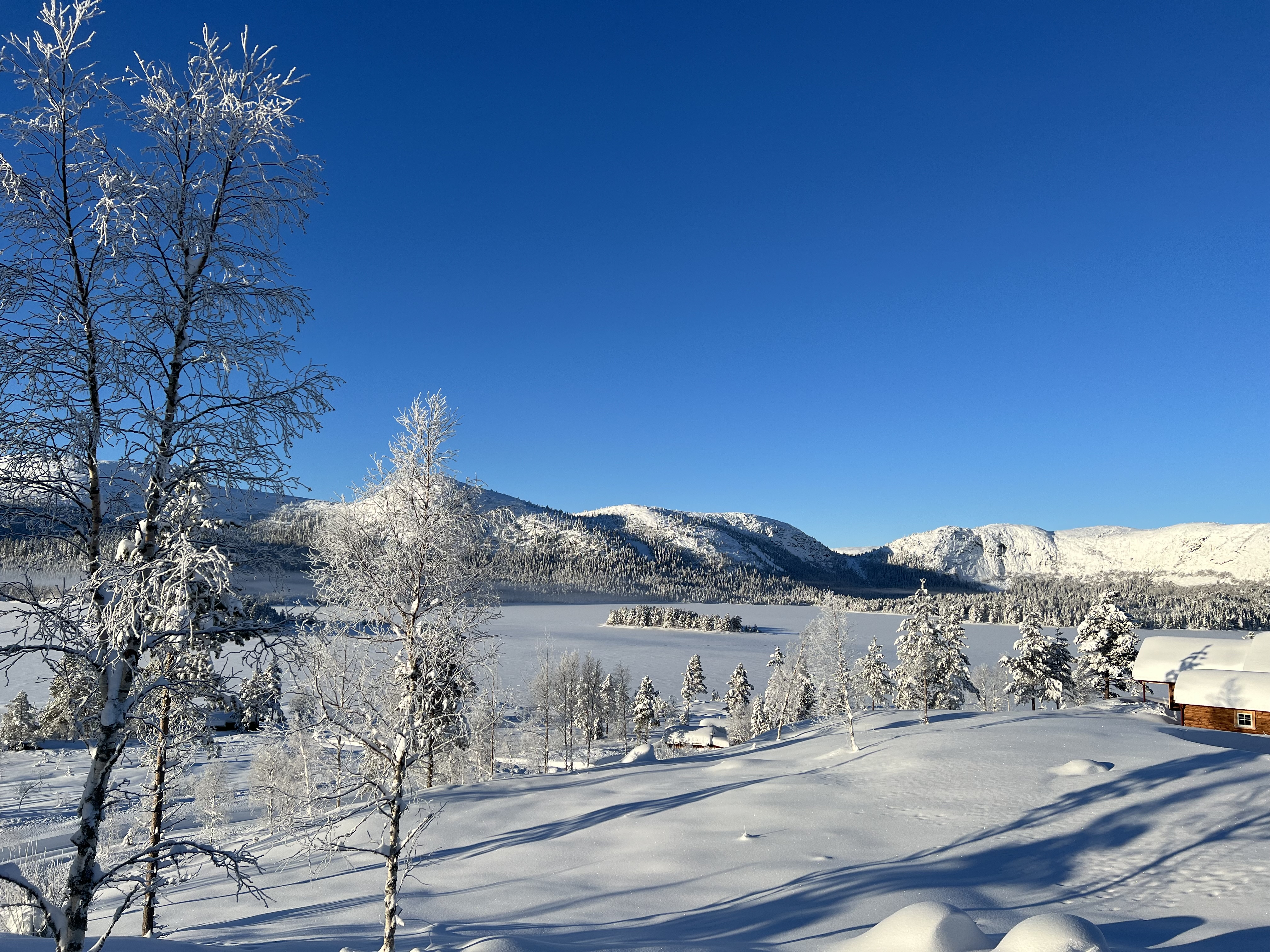 Hyttetomter i Birtedalen i Fyresdal kommune på vinter