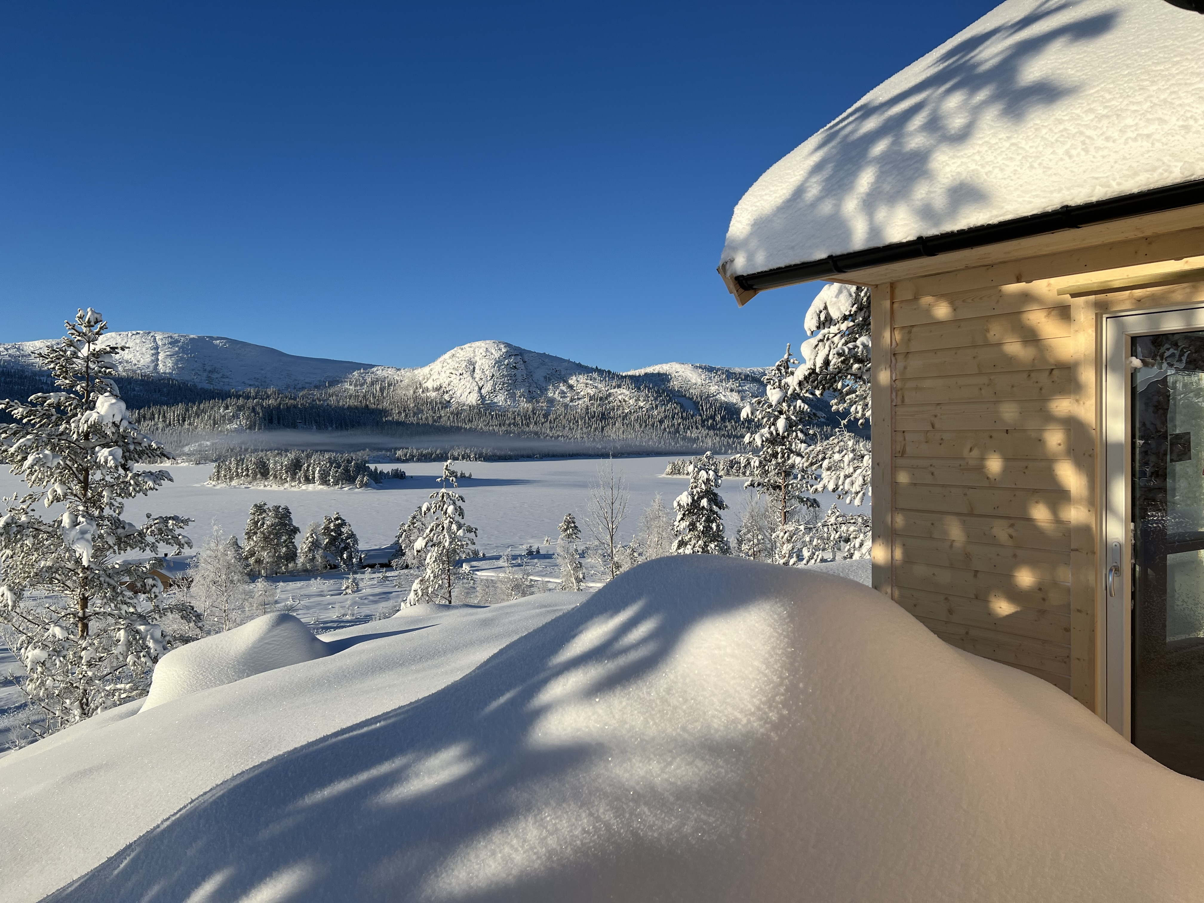 Hyttetomter i Birtedalen i Fyresdal kommune på vinter