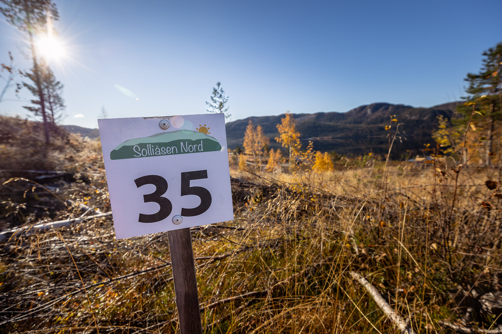 Hyttetomter i Birtedalen i Fyresdal kommune på Høsten